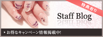 Staff Blog「nadecico☆Lifeお得なキャンペーン情報掲載中！」
